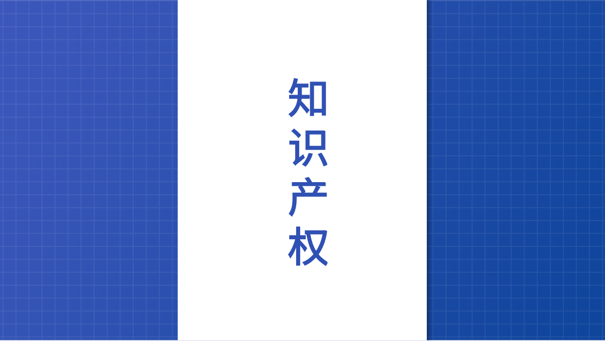 1673405227555313.png 知识产权1.png