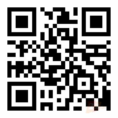 中国企业500强 十佳官网域名投票.png