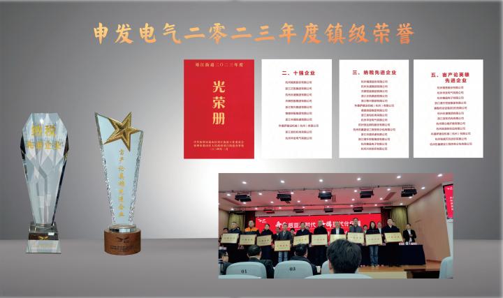 2023年度鎮(zhèn)級(jí)榮譽(yù)