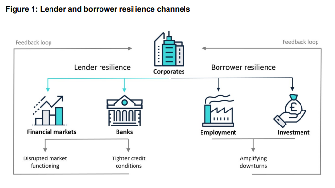 Lender and borrower resilience channels