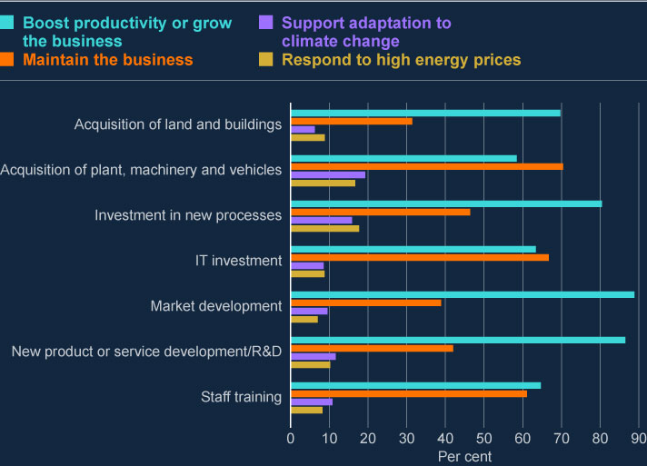 The chart shows businesses motivation for each type of investment. Bars represent motivations as Boost productivity or grow the business, Maintain the business, Support adaptation to climate change, Respond to high energy prices, and Other. Boosting productivity is the most cited reason for each type of investments. 88% of business invested in market development, 86% invested in new product or service development and 80% invested in new processes to boost productivity. The second most cited reason was to maintain business. 70% invested in plant, machinery and vehicles, and 66% invested in IT to maintain the business . The least cited reason was to respond to high energy prices. Only 17% of business invested in plant, machinery and vehicles, and 18% in new processes to respond to high energy prices.
