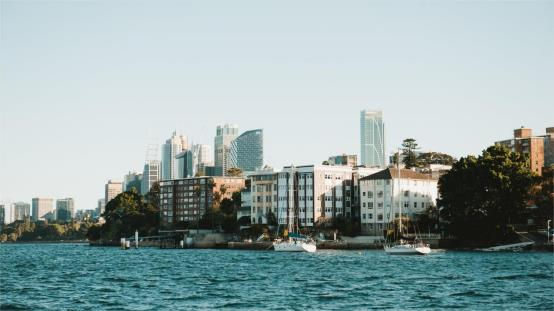 pexels-photo-17908346