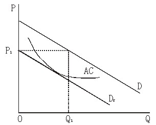 Image:阻止进入定价（莫迪里阿尼模型）.jpg