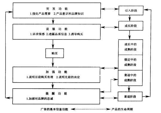 Image:产品生命周期不同阶段广告功能.jpg