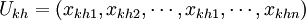 U_{kh}=(x_{kh1},x_{kh2},\cdots,x_{kh1},\cdots,x_{khn})