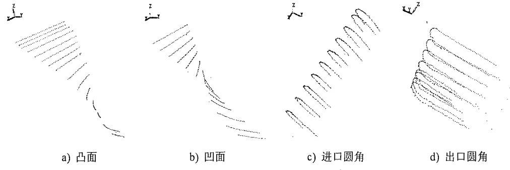 大叶片点云