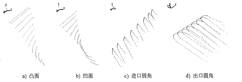 小叶片点云