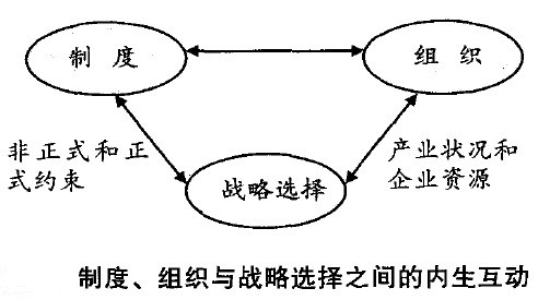 Image:制度基础观.jpg