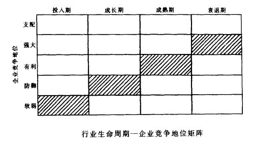 行业生命周期-企业竞争地位矩阵