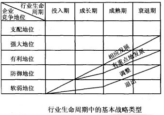 生命周期短阵中基本战略类型定位