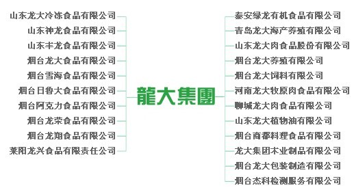 龙大食品集团有限公司