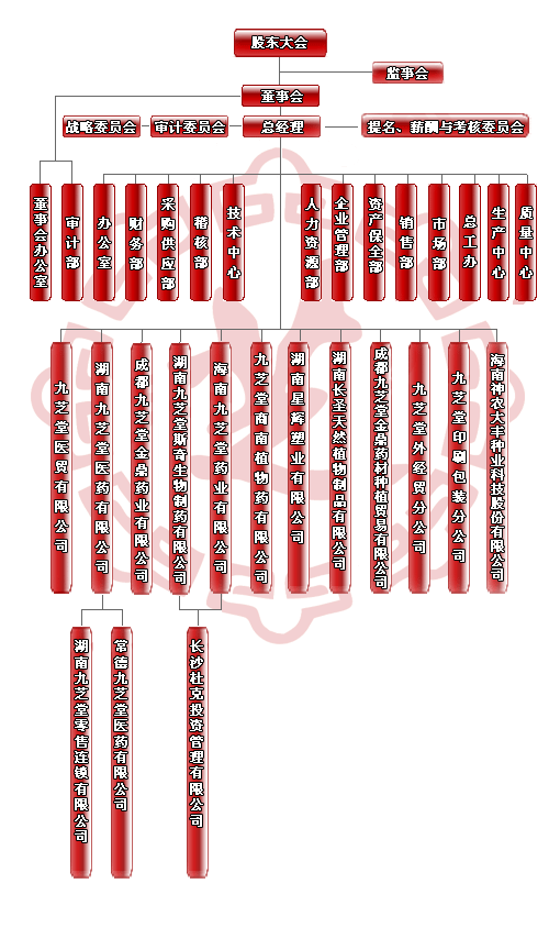 Image:九芝堂股份有限公司组织结构图.gif