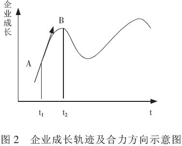 企业成长轨迹及合力方向示意图