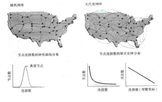 随机网络VS无尺度网络