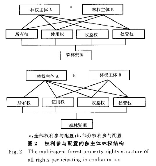 Image:权利参与配置的多主体林权结构.jpg
