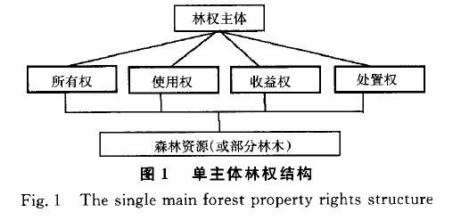 Image:单主体林权结构.jpg