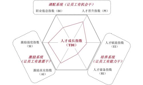 人才成长指数