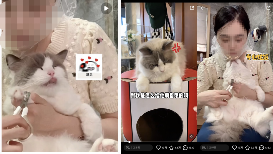 【8月爆文】小红书爆文套路