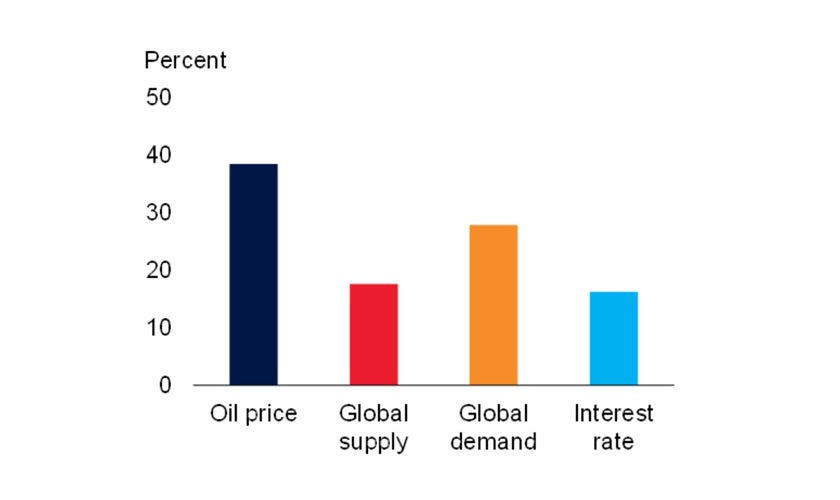 Figure 4. Contributions of global shocks to global inflation variation