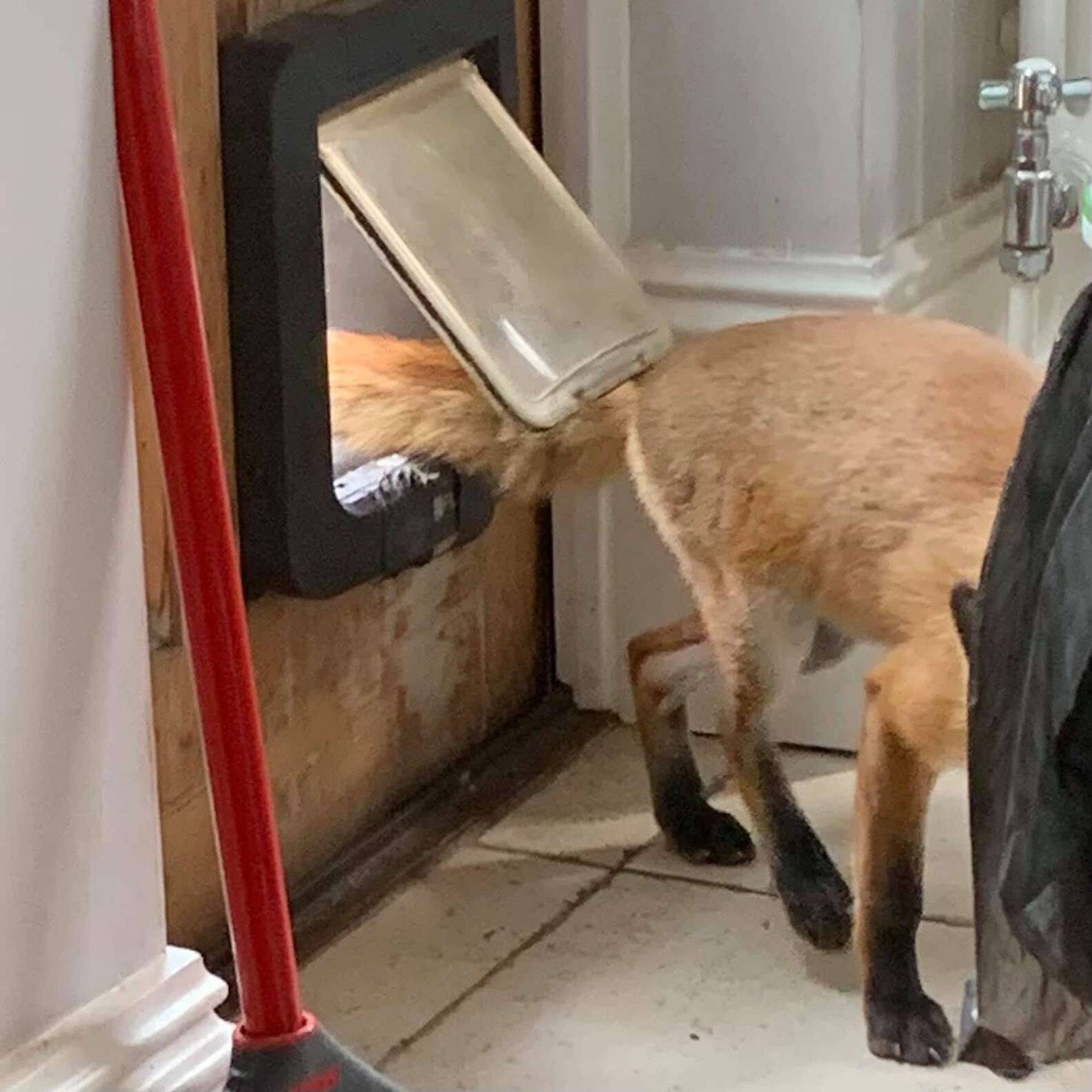 陌生访客(怎么把陌生访客拉黑?)