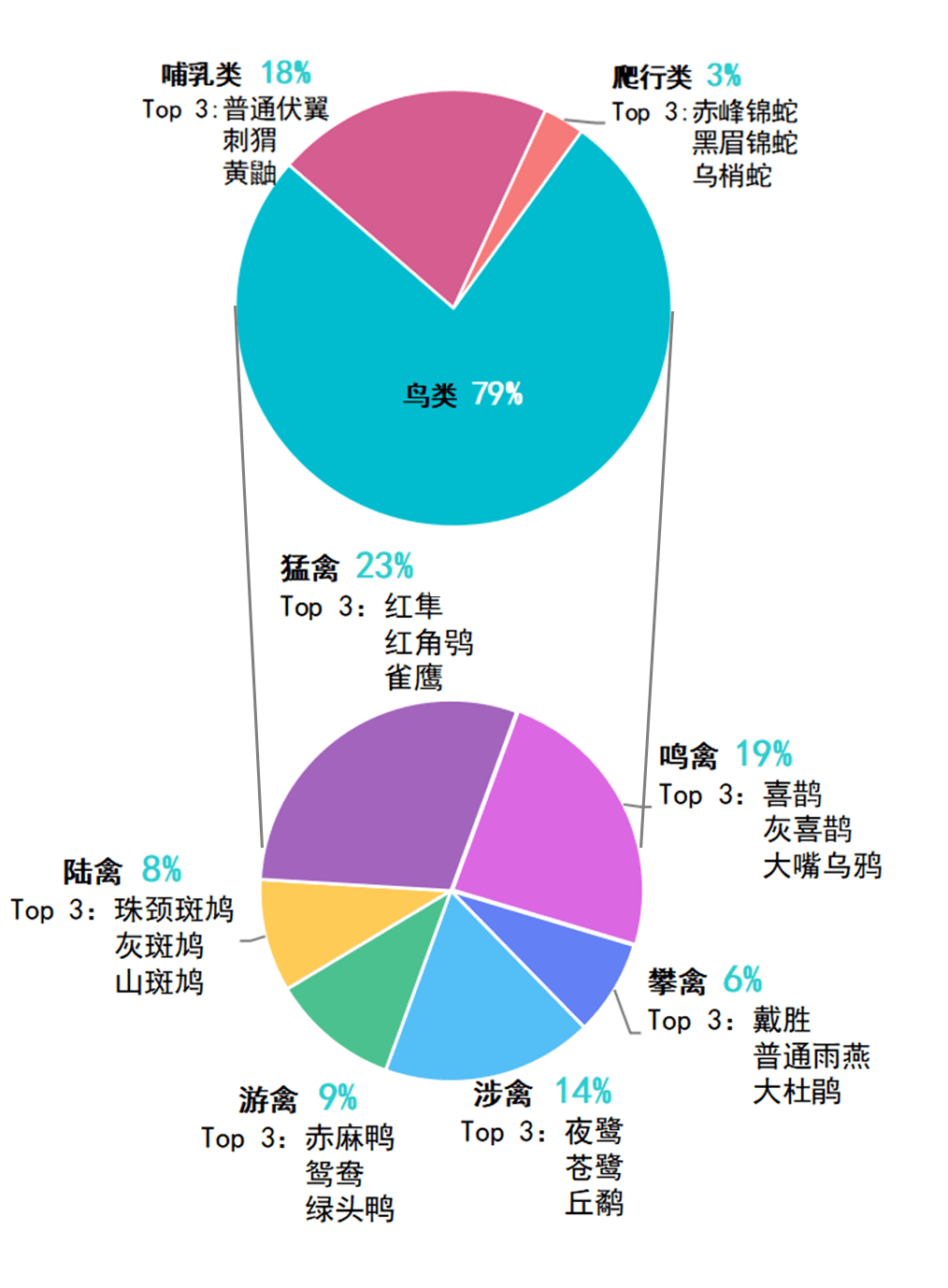 类型图(OPPO手机照片怎么分类呢？)