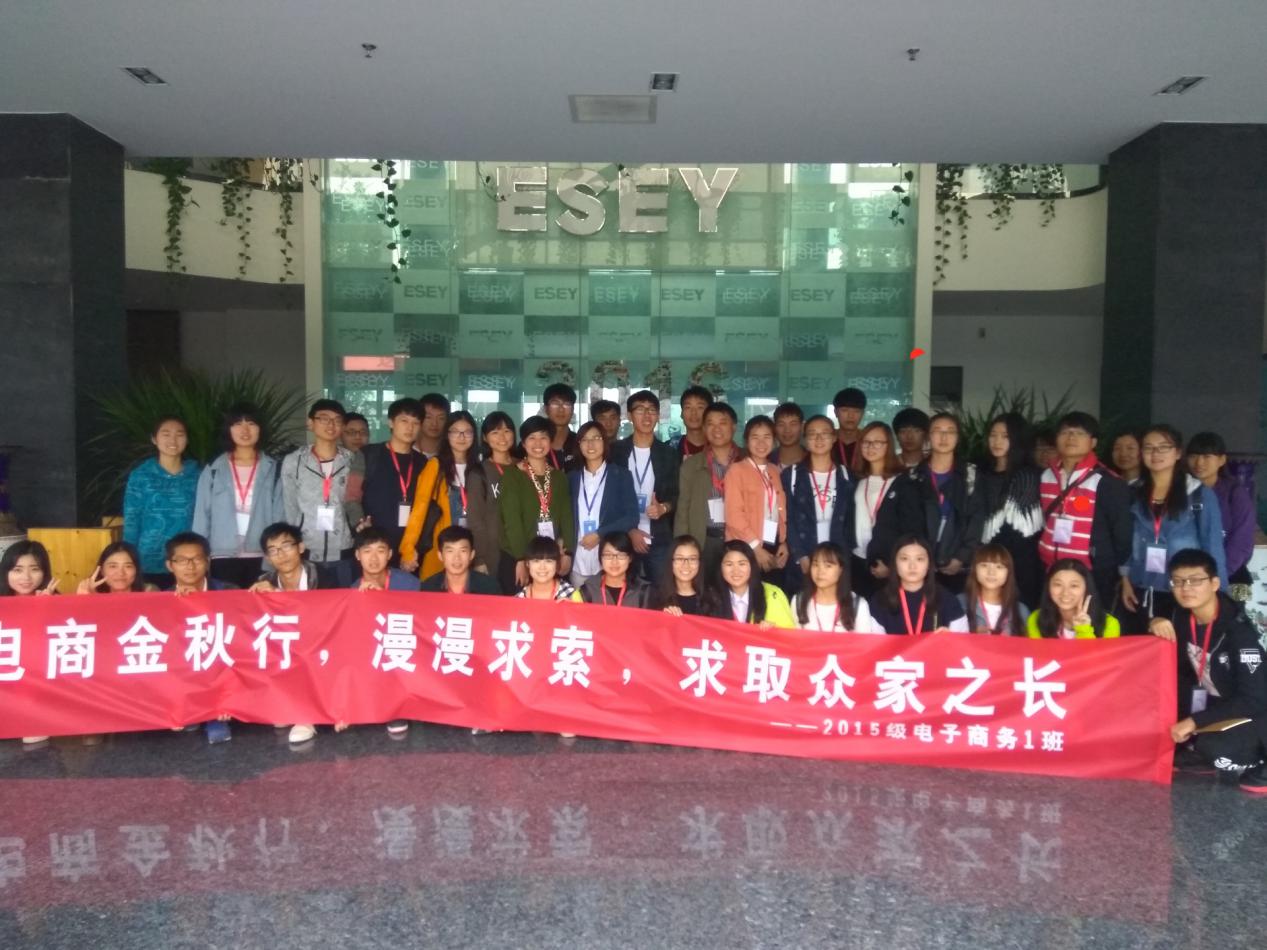 双十一电子商务公司有哪些(淘宝双十一代言人?)