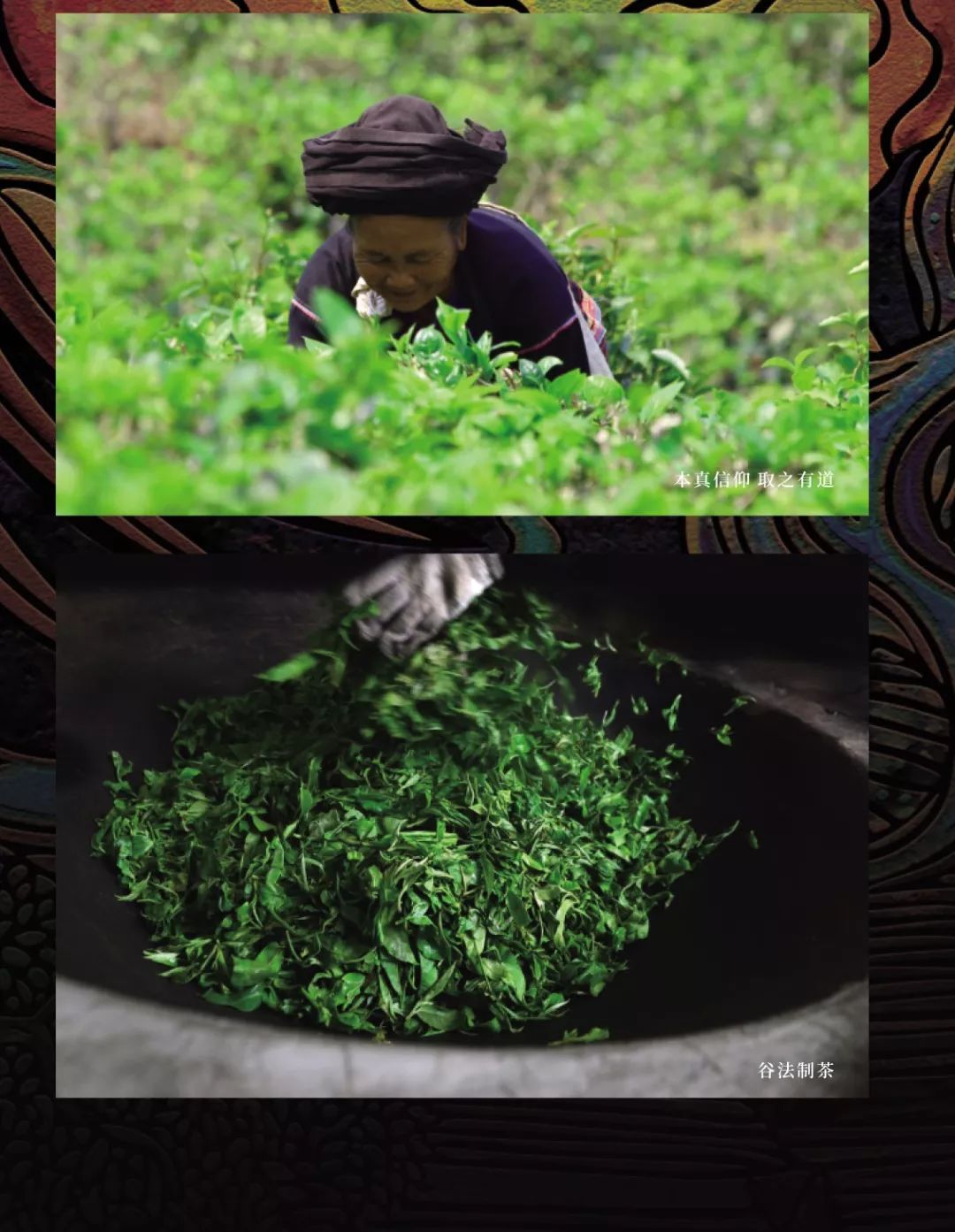 有机云(三天不用筷子的诗？)