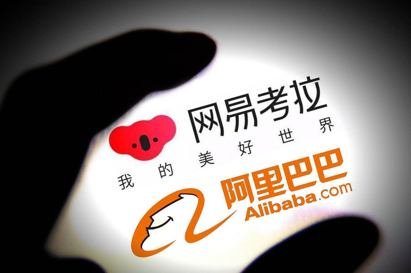 网易邮箱如何收阿里邮箱(网易邮箱大师怎么下载文件？)