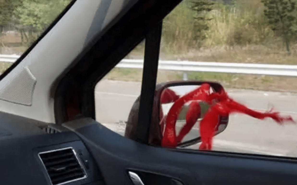 新车要给邮箱加什么液体(4s店提的新车第一次加油加多少?)