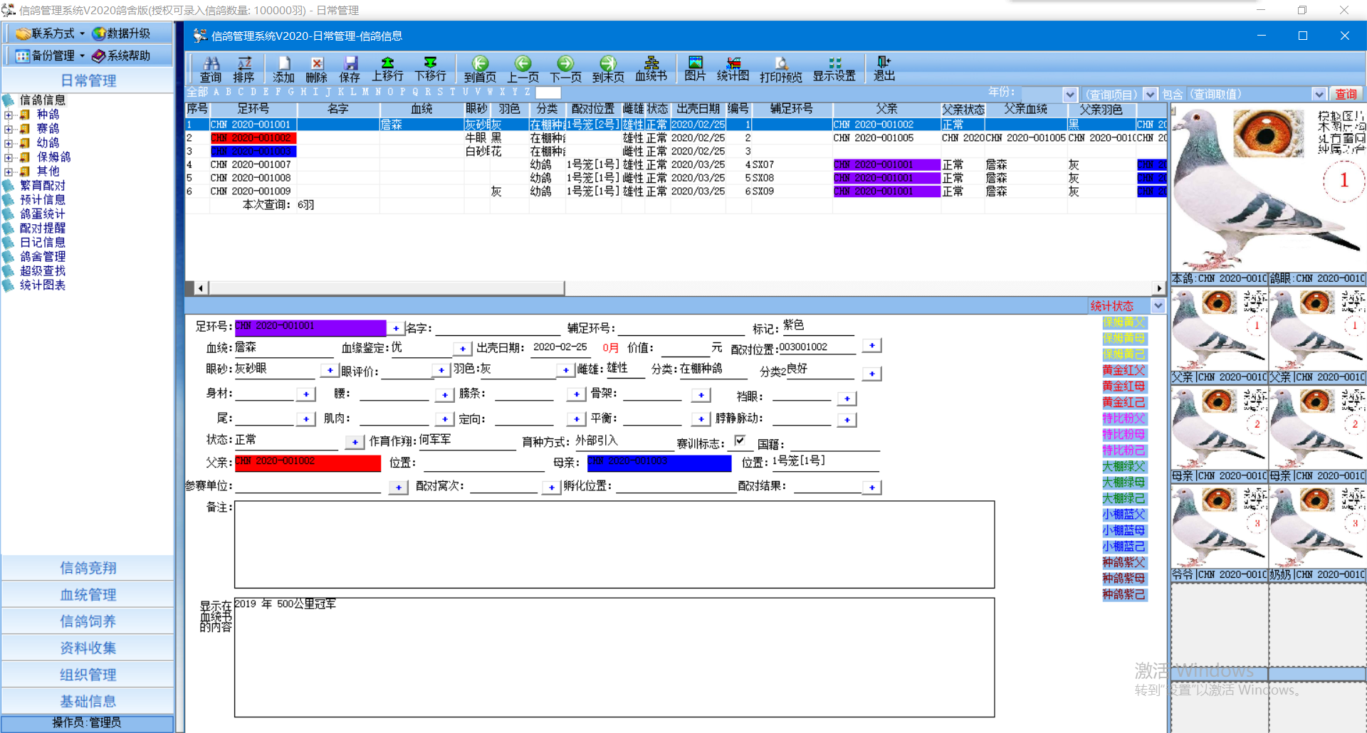 信鸽营销软件可靠吗(怎么推销鸽蛋和乳鸽?)