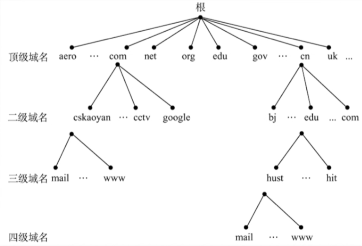 什么是域名的组成(域名是如何组成的?)