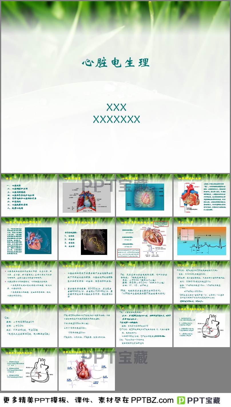 心脏电生理erp是什么(OA系统到底能做什么?)
