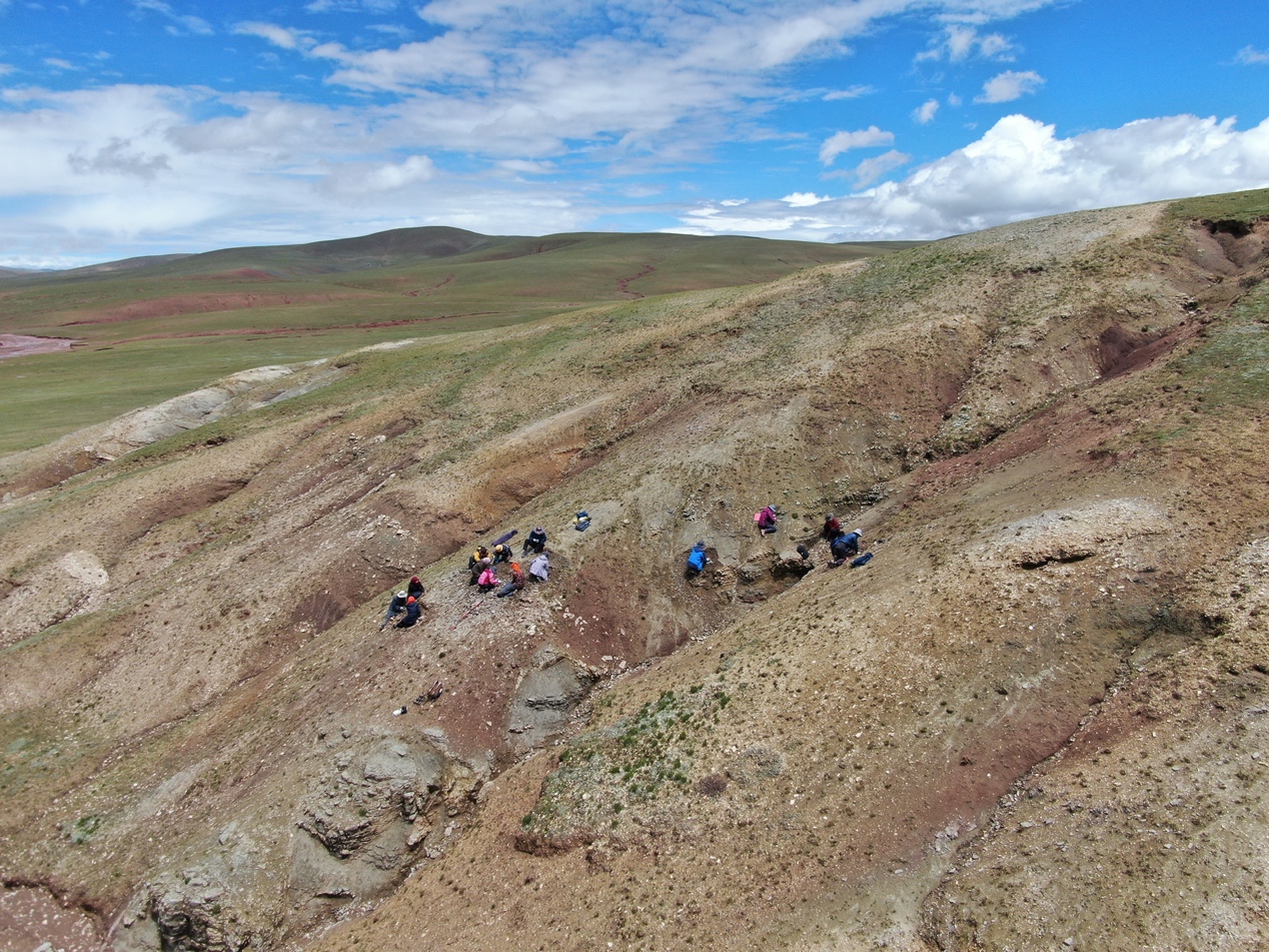 班戈县安全邮箱是什么(KHO1113155454我的包裹到哪里了？怎么查啊？)