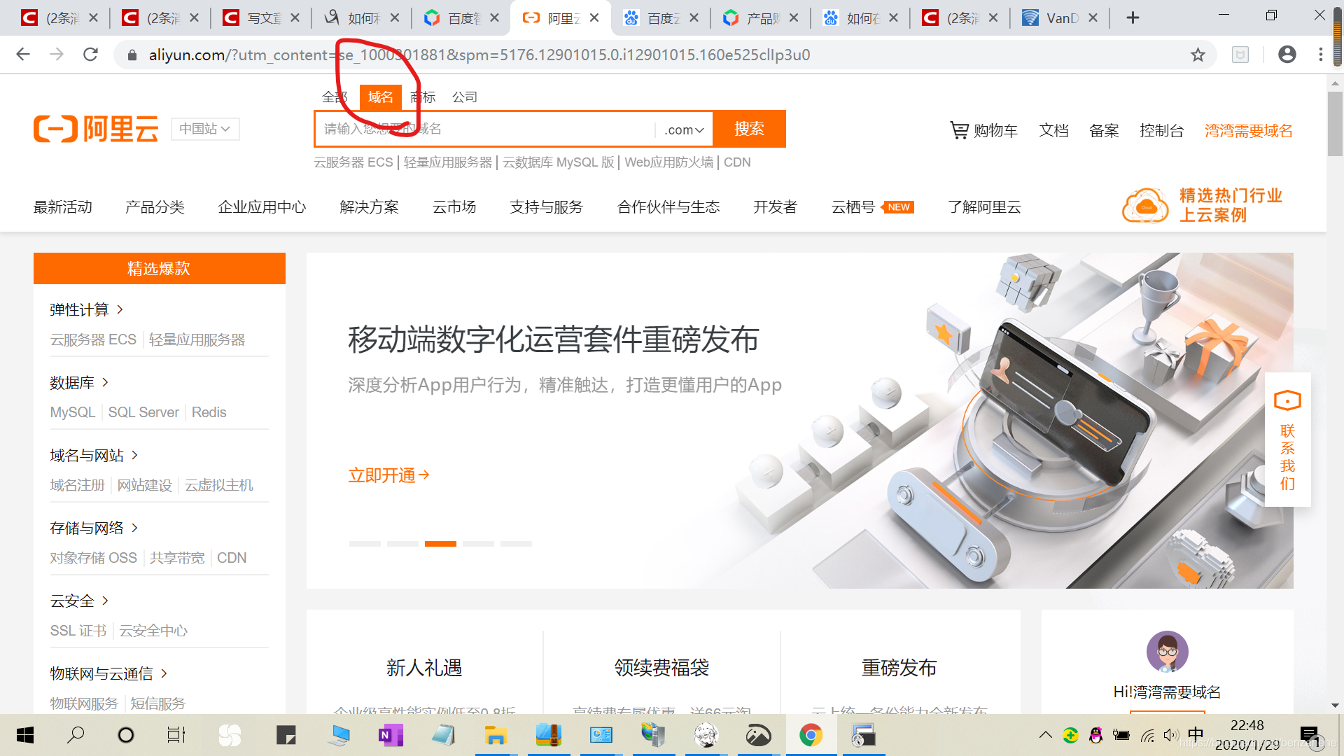 如何自己解析域名(如何为中文域名的解析？)