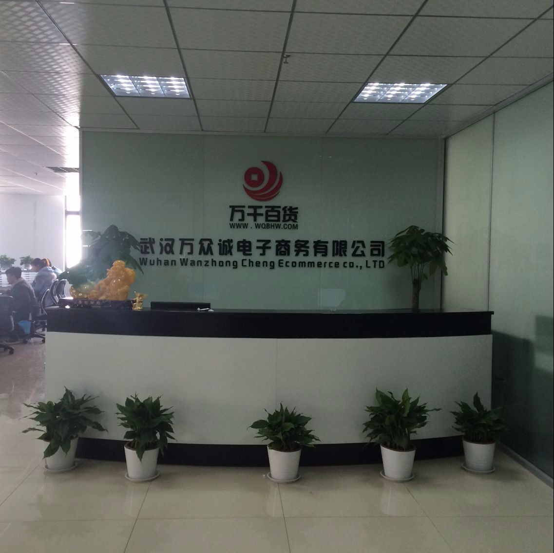 有限公司可以做电子商务吗(义乌市电子商务有限公司做啥的？)