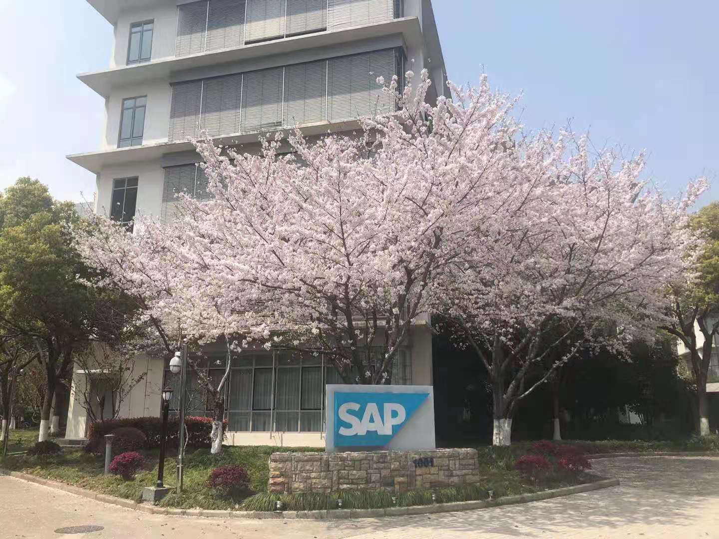 sap的saas平台如何(国内SaaS现状和发展是怎样的？)