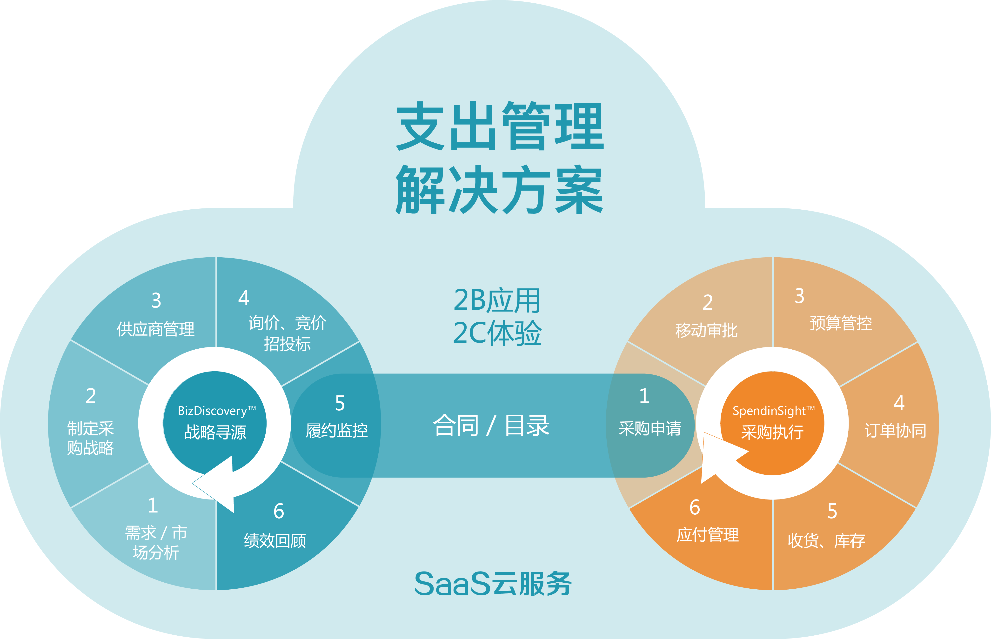 公有云saas如何招投标(saas系统运行流程？)