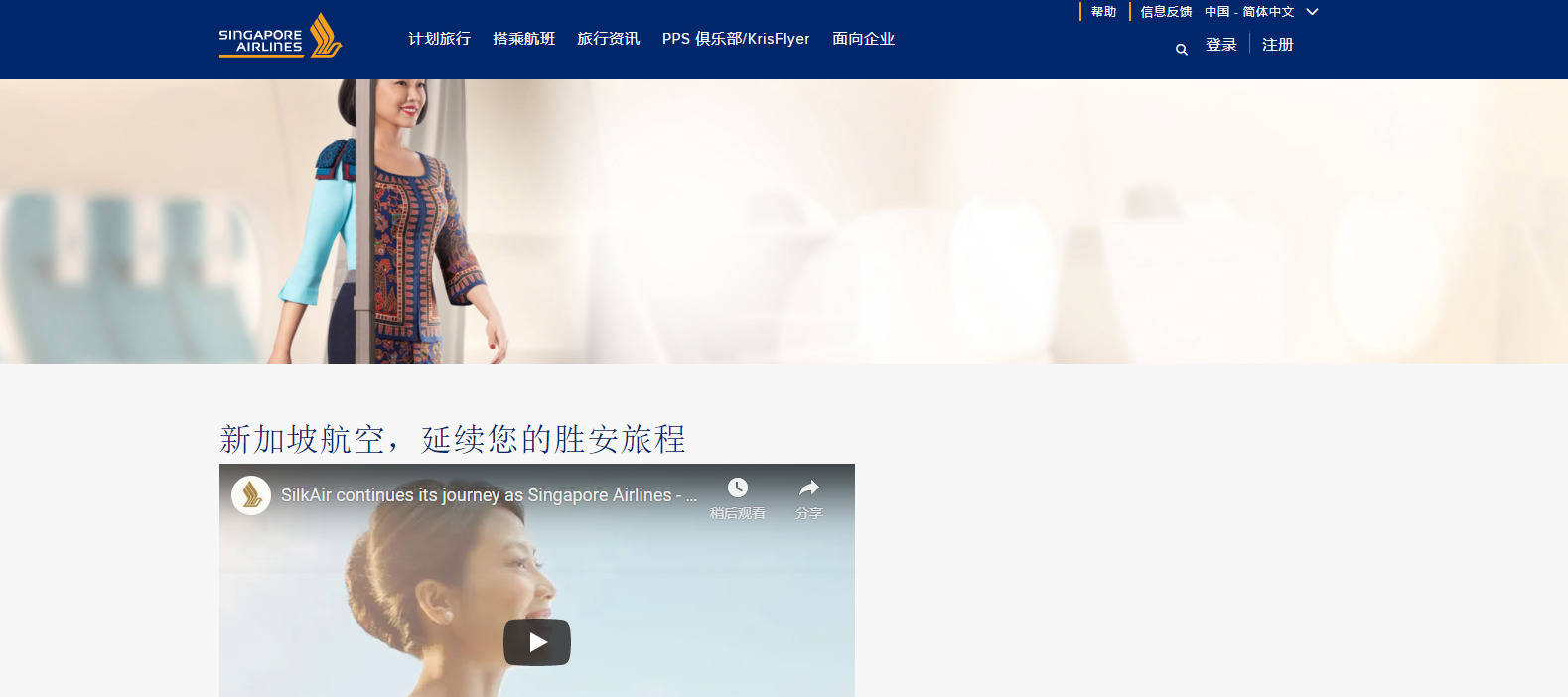 域名什么字(域名是什么意思?)