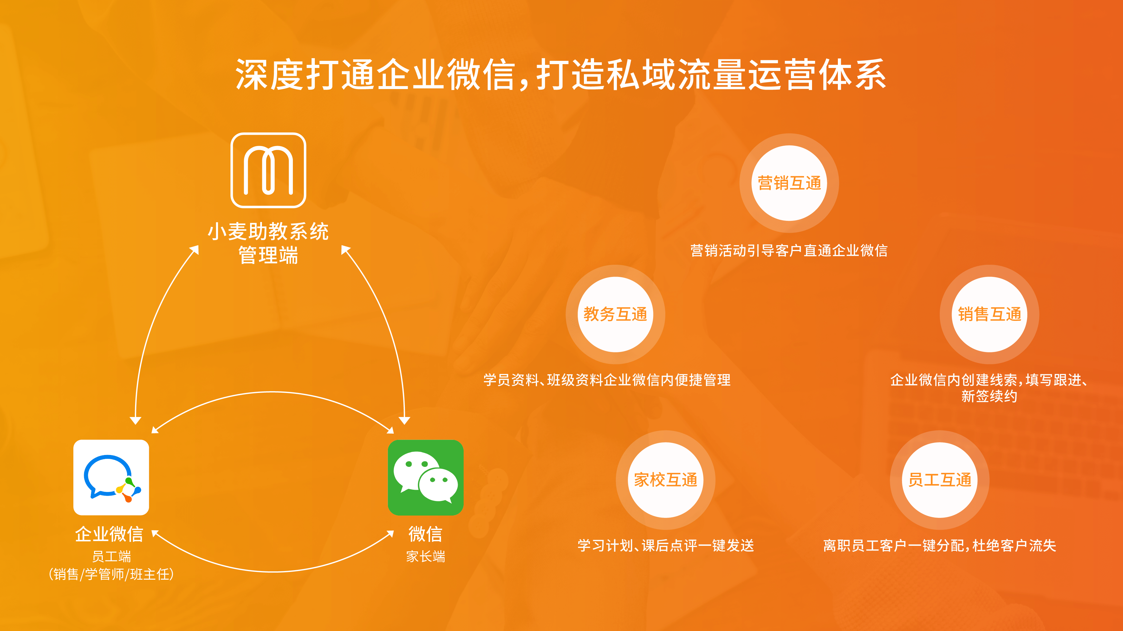 小麦助教是saas吗(小麦助教与校宝那个好?)