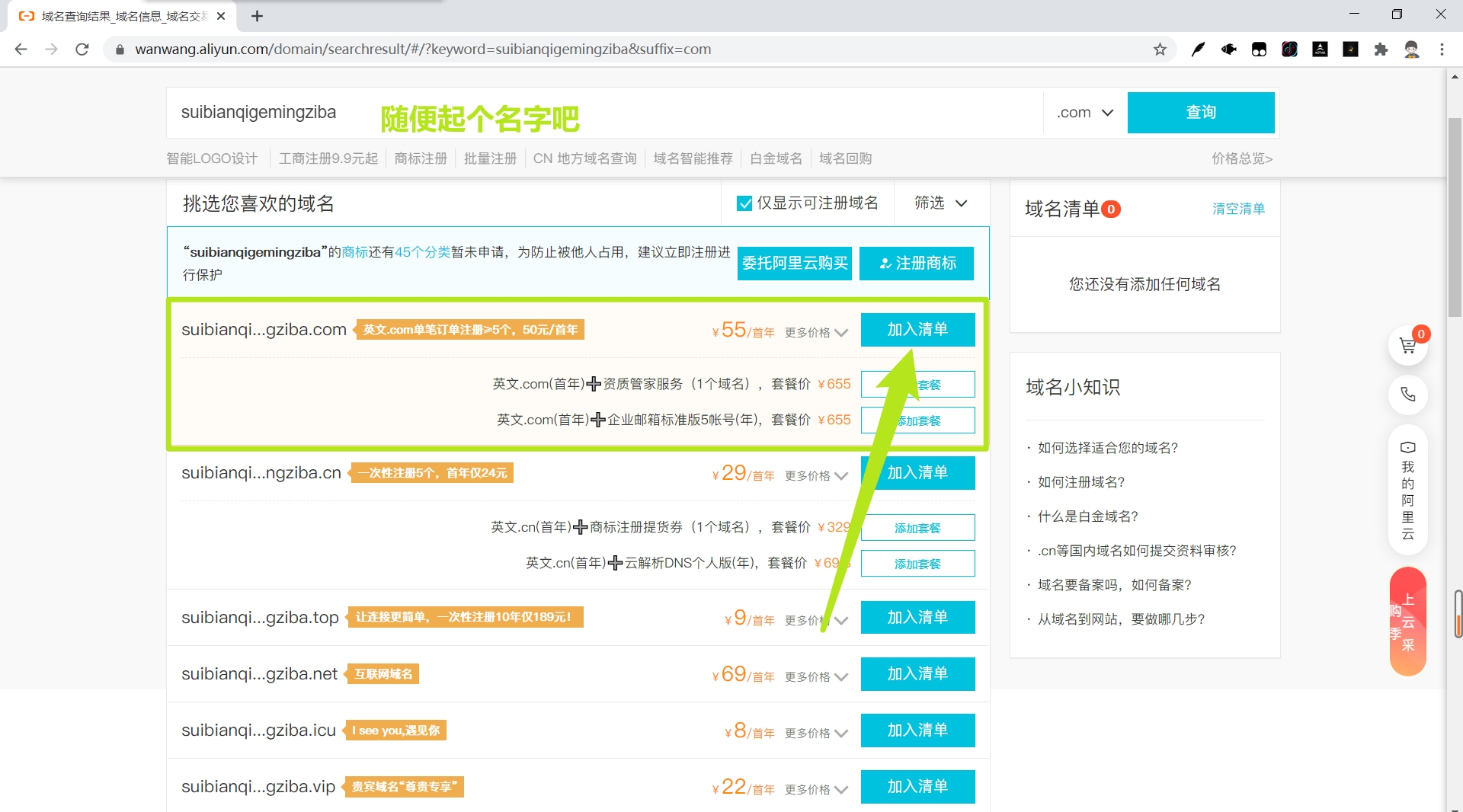 域名是什么(wang域名是哪个国家？)