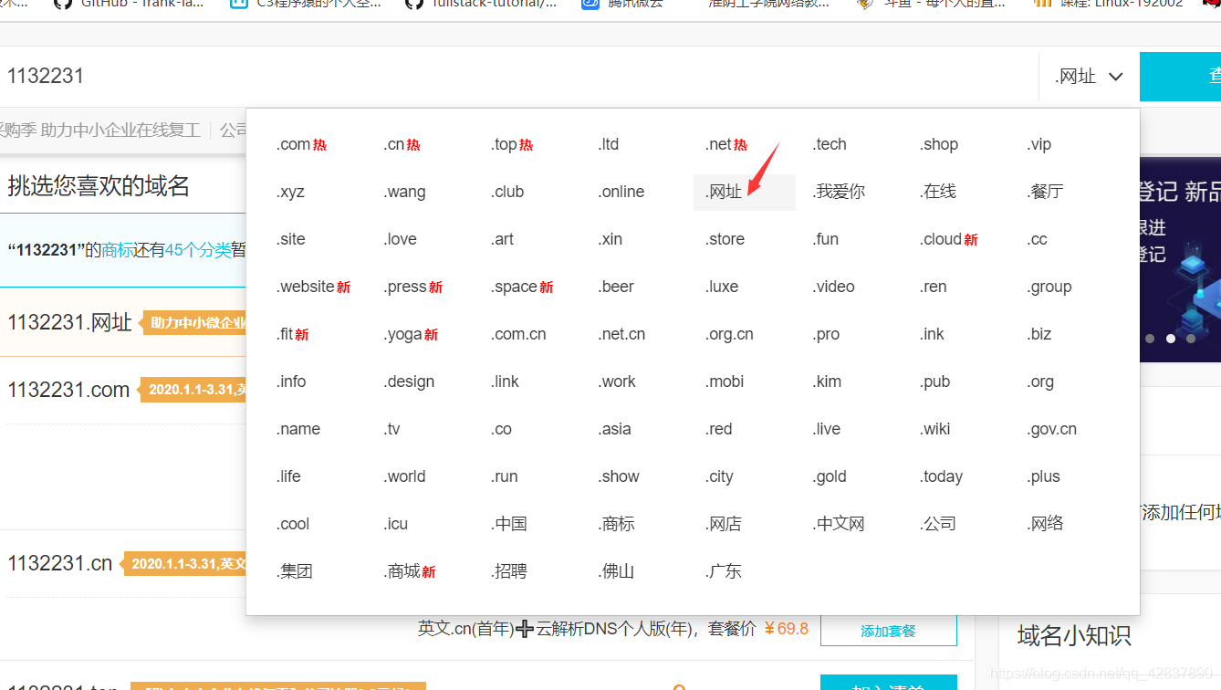 申请网址域名吗(一个新网站要有域名，在那里去申请域名呢？)