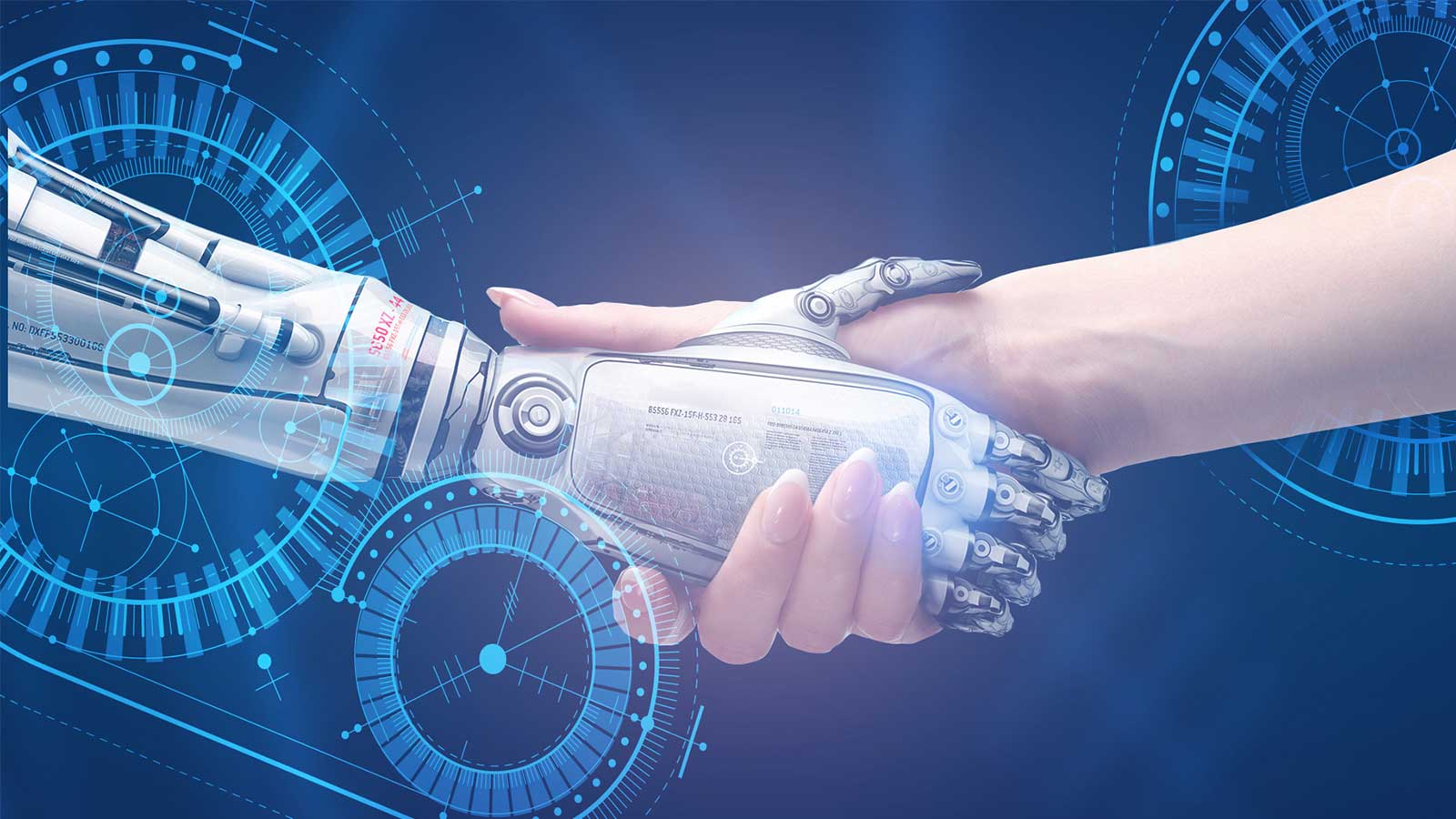 电子商务能学机器人吗吗(电子商务可以学编程吗？)