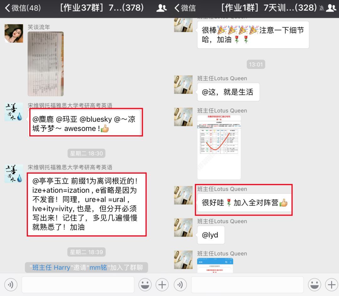 如何用ERP背单词(erp和app有什么区别?)