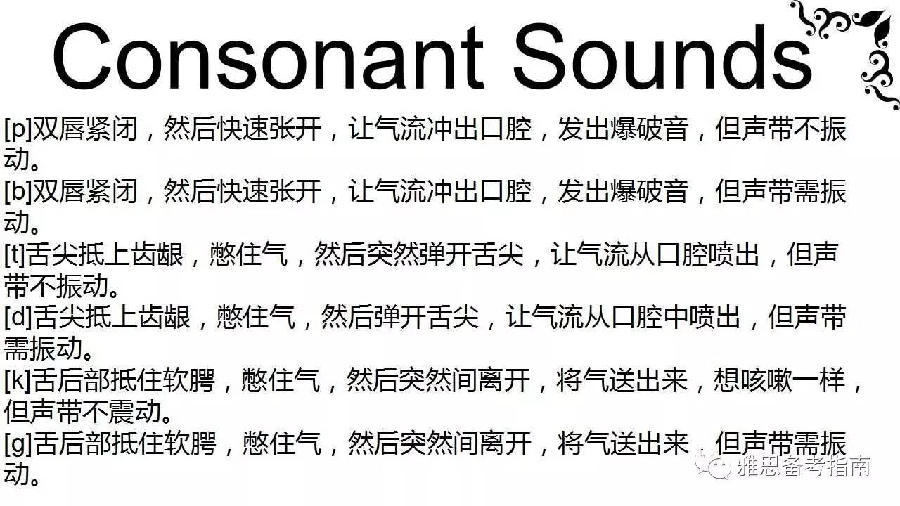 saas怎么读音发音(gin什么意思网络用语？)