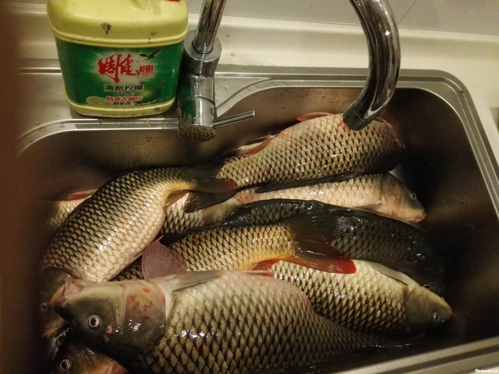 域名泡什么钓鱼(目前比较快的DNS,有几个?)