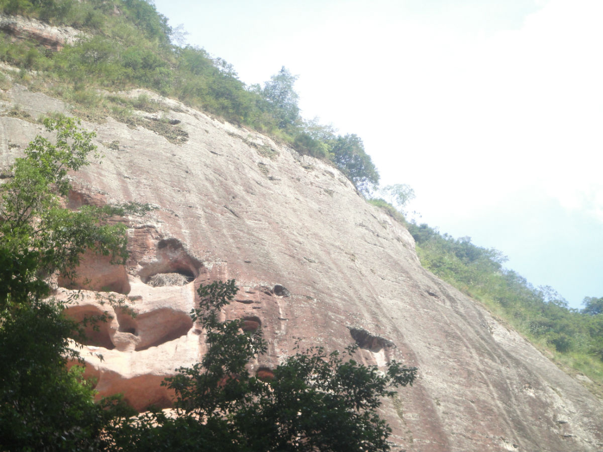 汝城南洞的邮箱编码是多少(农业一体化经营的演进？)