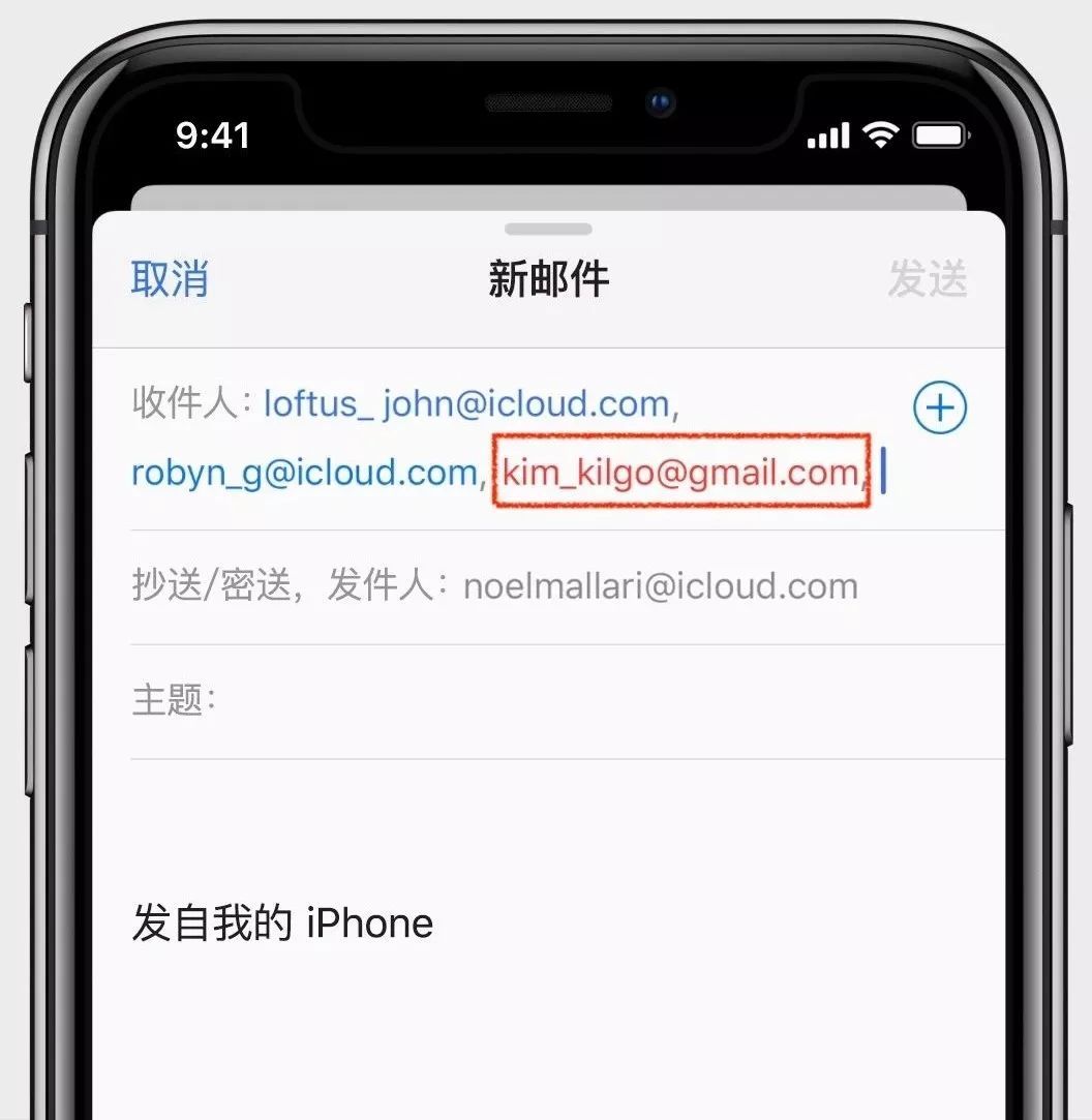 苹果手机怎么查域名地址(苹果电子邮件地址怎么填写？)