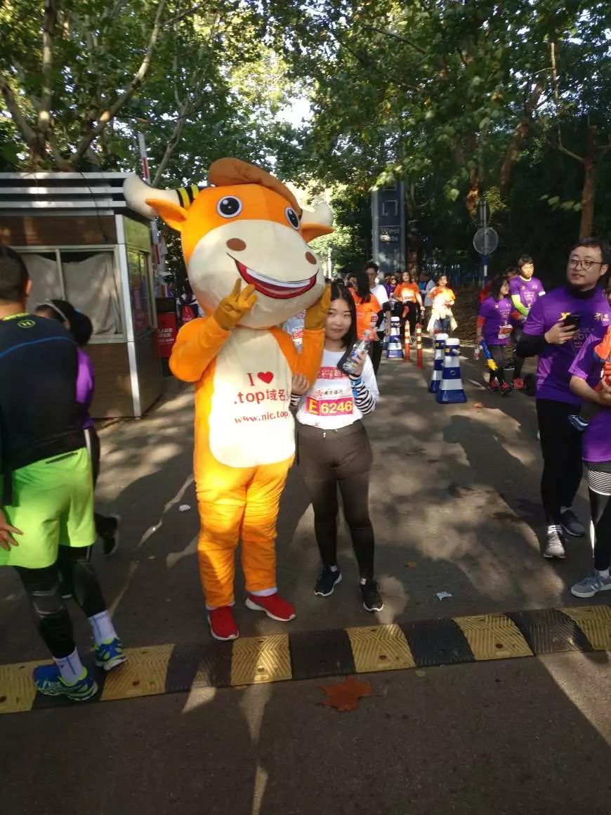 top域名如何使用(top域名是什么？)