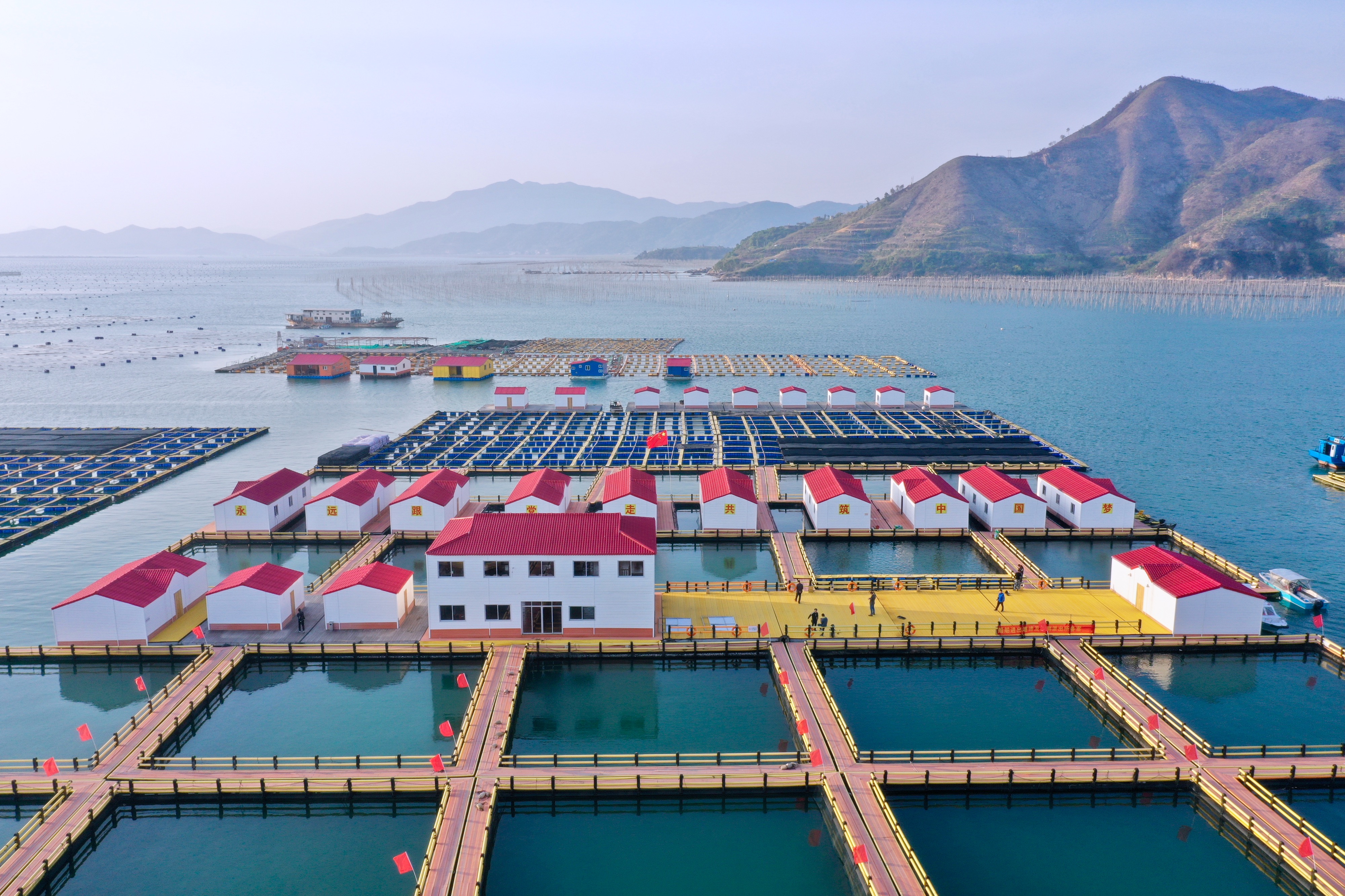 宁德市周围海域名称有哪些(福建宁德，哪里有海啊？)