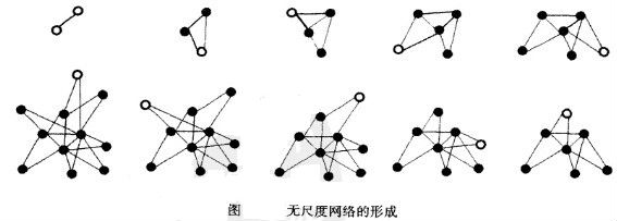 无尺度网络的形成图